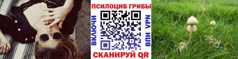 Галлюциногенные грибы мицелий сколько стоит Ужур